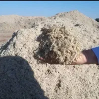 کاه نیشکر|حیوانات مزرعه|اندیمشک, |دیوار