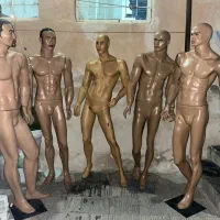 مانکن رگال پرژکتور