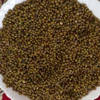 ماشک امسال عمده‌ای