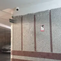 همخانه، همخونه