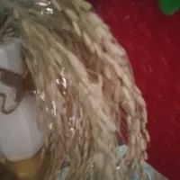 اجاره زمین برنج