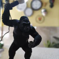 دیوارکوب و دکوریجات خاص|مجسمه، تندیس، ماکت|قوچان, |دیوار