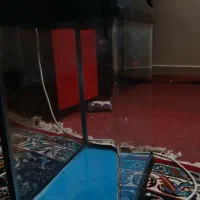 آکواریوم aqua bt300|ماهی|آفتاب, |دیوار