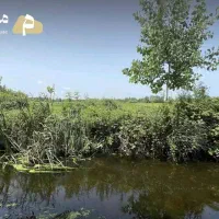 ملک حیاط دار با پایان کار و سند قطعی رشت خشکبیجار|فروش خانه و ویلا|خشکبیجار, |دیوار