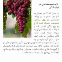 کود کمپوست برای کشاورزی هزینه نداره