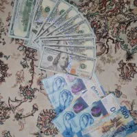 فرانک کلکسیونی