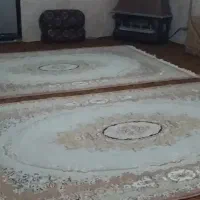 فرش|فرش|ارومیه, |دیوار