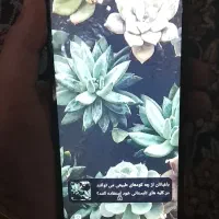 گوشی پوکوc71