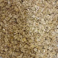 مغز گردو|خوردنی و آشامیدنی|قیدار, |دیوار