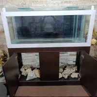 آکواریوم|ماهی|بازرگان, |دیوار