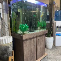 اکواریوم|ماهی|تهران, قیام|دیوار