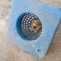 اسپلایش واسه ماهی داخل استخر