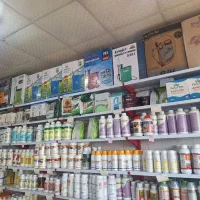 انواع سم،کود،بذر و سمپاش ایرانی و خارجی|خدمات باغبانی و درختکاری|بندرعباس, |دیوار