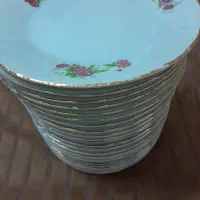 میوه خوری گل سرخ