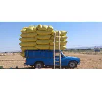 خریدار کاه دیم .خرید برای کنگاور و حومه میباشد