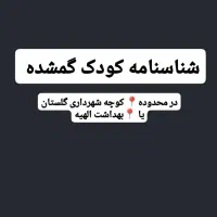 شناسنامه کودک گمشده