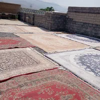 الو قالیشویی|خدمات نظافت|همدان, |دیوار