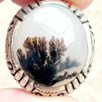 انگشتر  شجر  شفاف  و  شیشه  ای
