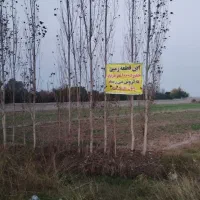 زمین کشاورزی دو دهنه