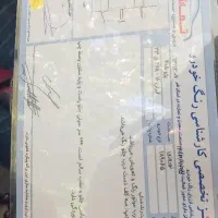 پژو 405 دوگانه فابریک مدل 98|خودرو سواری و وانت|قم, باغ شریفی|دیوار