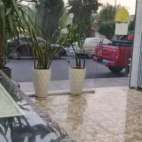 تجاری، زیرزمین  ۲۳۰متر لوکیشن اصلی