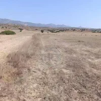 زمین مسکونی شمال منطقه انتظامی