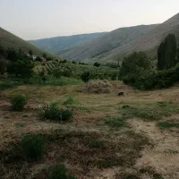 زمین مسکونی طارم زنجان کوهکن علیا