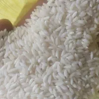 برنج عنبربو درجه یک شوشتر