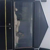 اکواریوم