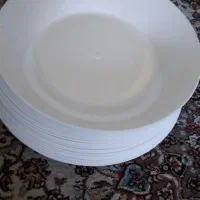 ظروف یکبار مصرف