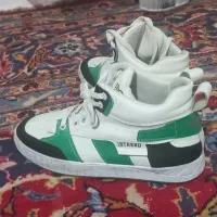 کتونی اسپرت