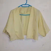 کراپ شومیزگره ای|لباس|کرمانشاه, |دیوار