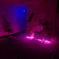 اجاره منزل مبله/شیک و مرتب/صدرا|اجارهٔ کوتاه‌مدت آپارتمان و سوئیت|شیراز, شهرک گلستان|دیوار
