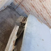 فروش پراید|خودرو سواری و وانت|آبادان, |دیوار