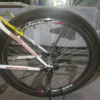 دوچرخه ویوا اصل|دوچرخه، اسکیت، اسکوتر|فردیس, فردیس|دیوار