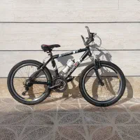 دوچرخه 24 ویوا