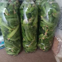 خیارشور