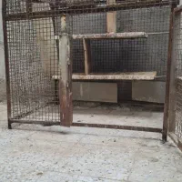 قفس|لوازم جانبی حیوانات|بندرعباس, |دیوار