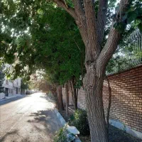 312متر مشارکت در ساخت الماس چهارباغ شرقی