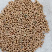 *نخودفلافلی موجوداست*بدون سنگ وآشغال