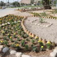 طراحی واجرای فضای سبز