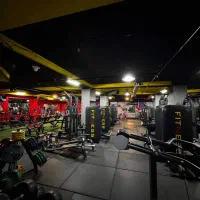 واگذاری باشگاه بدنسازی فعال