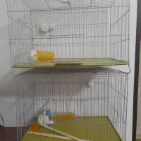 قفس پرنده