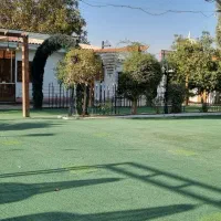 چمن مصنوعی ،لوستر،طاق چوبی.کف ال ای دی|حراج|احمدآبادمستوفی, |دیوار