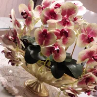 گلها همه نو جدید