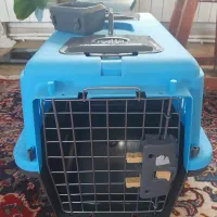 وسایل پت سگ فروشی با تخفیف|لوازم جانبی حیوانات|رشت, لاکان شهر|دیوار