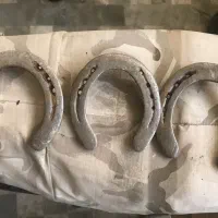 نعل اسب|اسب و تجهیزات اسب‌سواری|قم, هفت تیر|دیوار