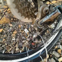 دوچرخه سالم|دوچرخه، اسکیت، اسکوتر|اسدآباد, |دیوار