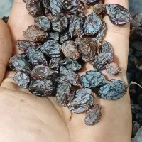 کشمش آفتابی فخری|خوردنی و آشامیدنی|تاکستان, |دیوار