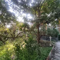 ویلا باغ دوبلکس جنگلی ۶ خواب (ناصری)